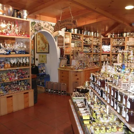 格尼斯特拉阿尔皮纳酒店 酒店